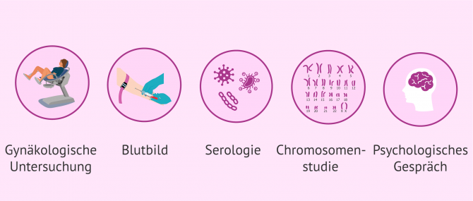 Imagen: Untersuchungen bei Eizellspenderinnen