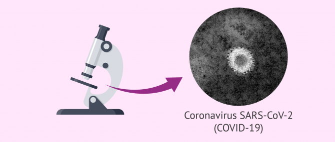 Imagen: Darstellung des Coronavirus unter dem Mikroskop.