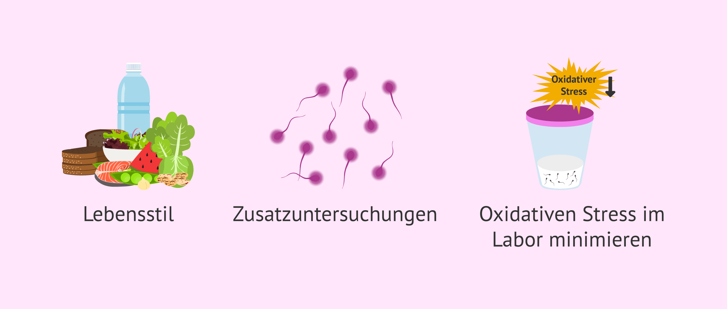 Imagen: Tipps bei fortgeschrittenem väterlichem Alter