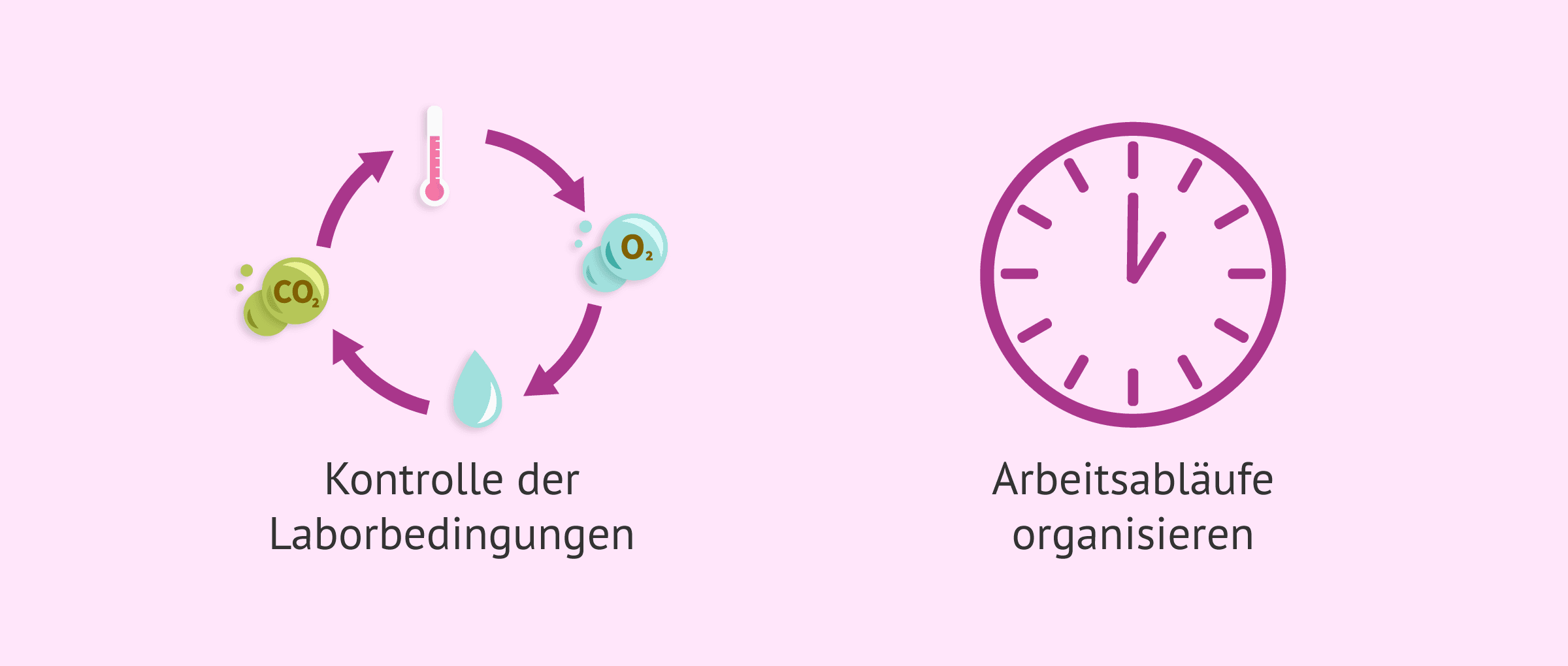 Imagen: Fortschritte durch künstliche Intelligenz im IVF-Labor