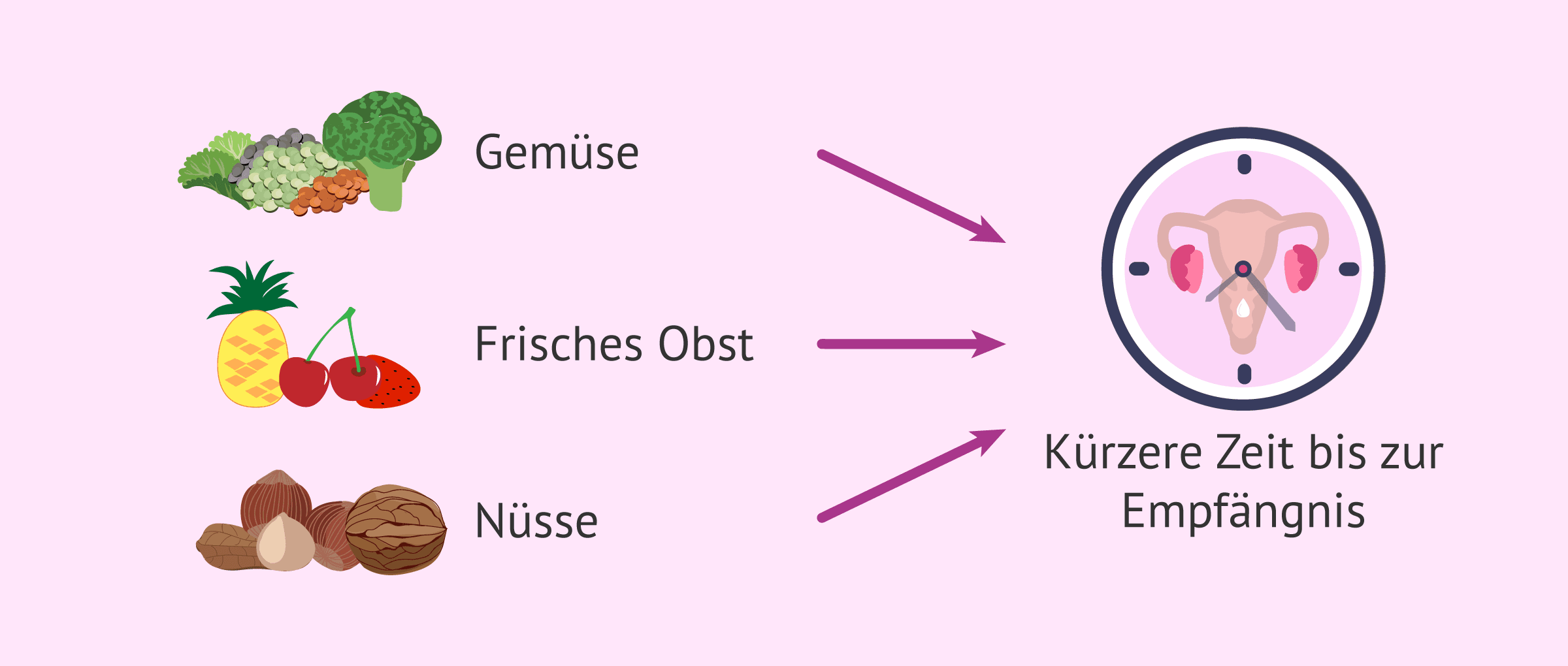Imagen: Lebensmittel, die die Fruchtbarkeit fördern