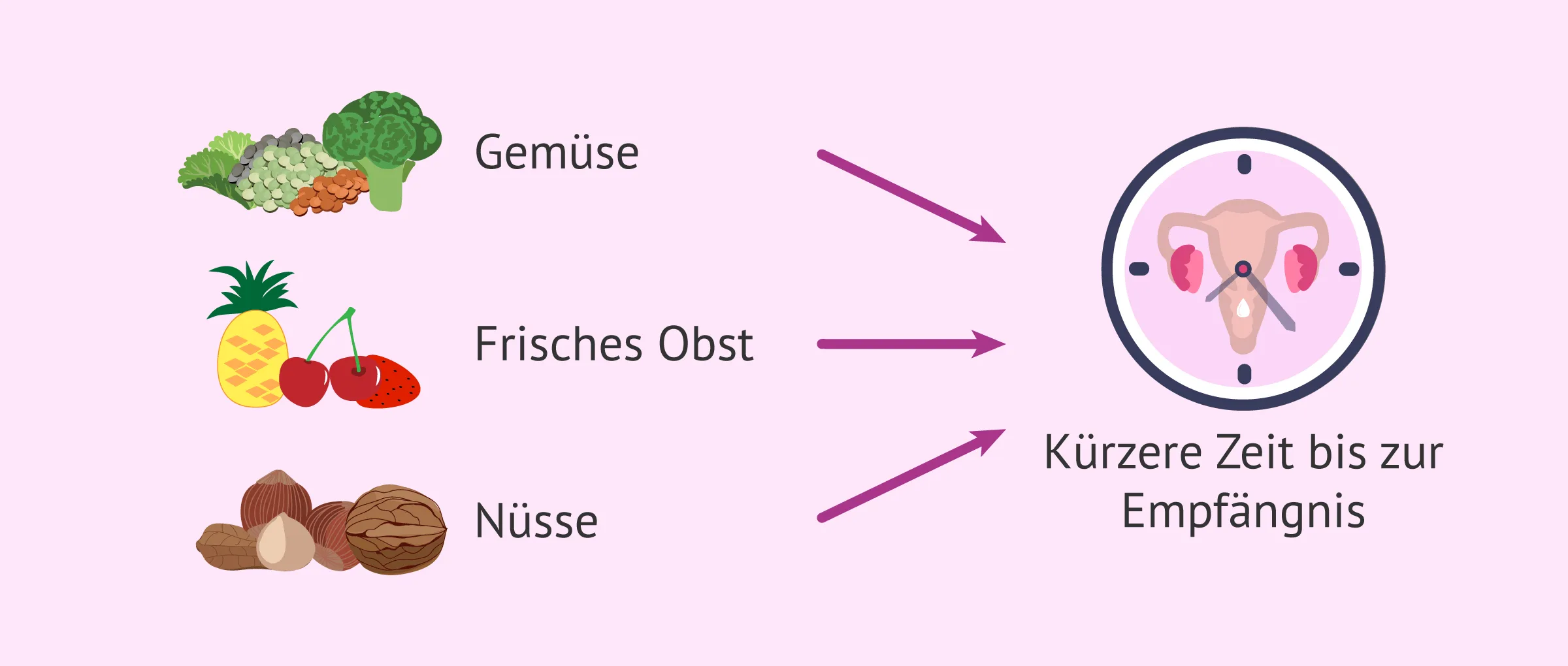 Ernährung und Fruchtbarkeit: Die Zeit bis zur Schwangerschaft verkürzen