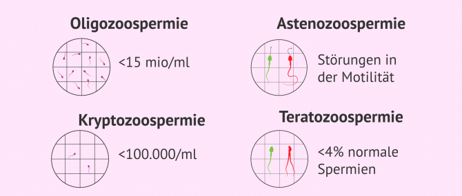 Imagen: Störungen Samen