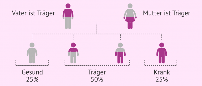 Imagen: Vererbung von autosomal rezessiven Krankheiten