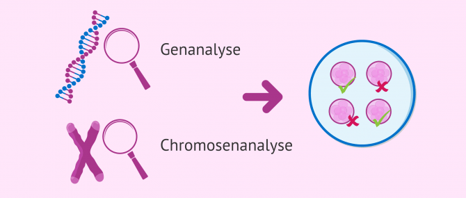 Imagen: PID zur Vermeidung von Erbkrankheiten