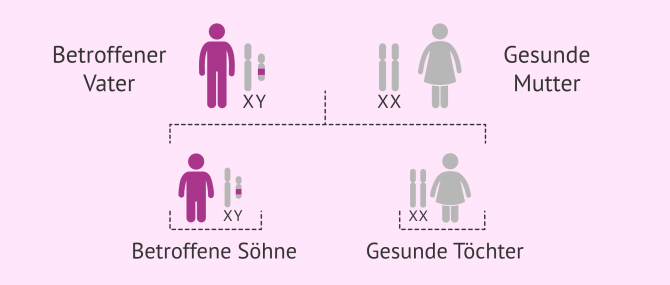 Imagen: Vererbung von Y-gebundenen Krankheiten