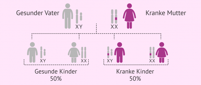 Imagen: Krankheiten x chromosom dominant