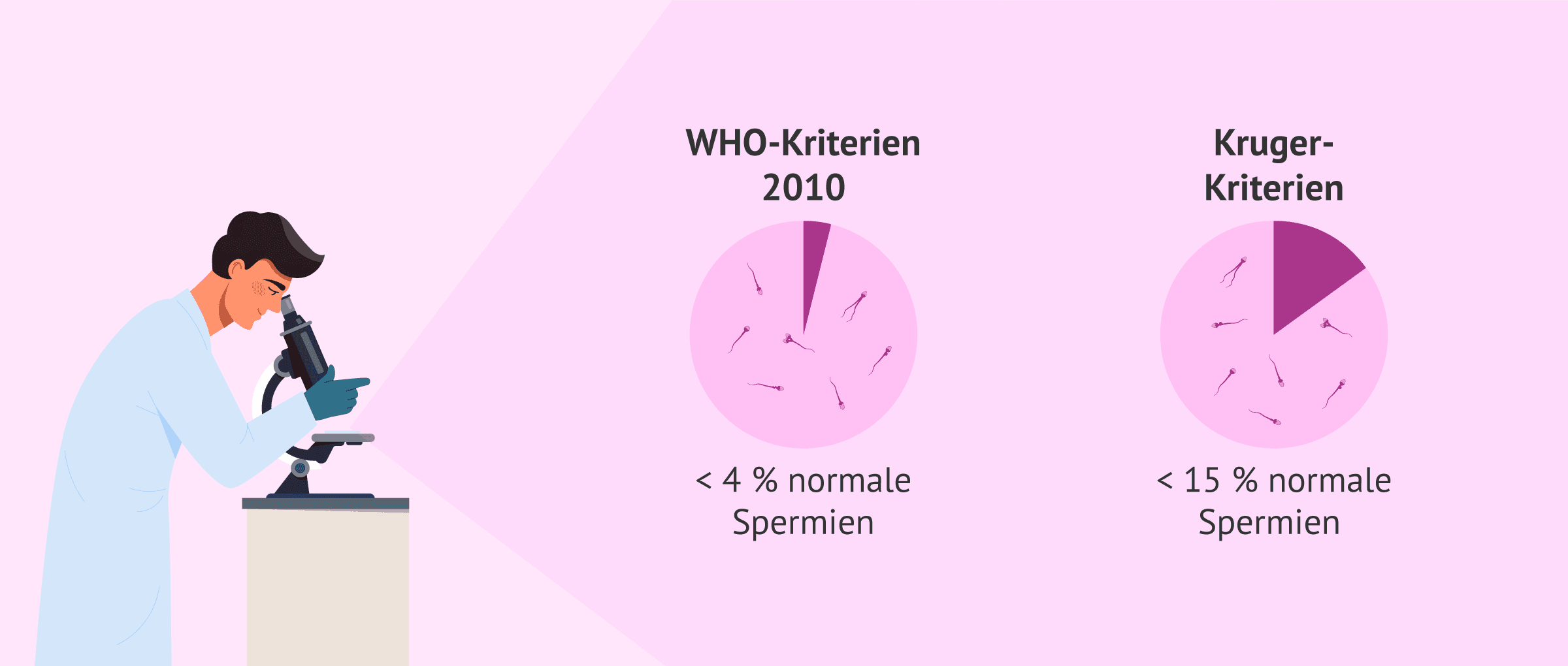 Imagen: Referenzwert für die Spermienmorphologie