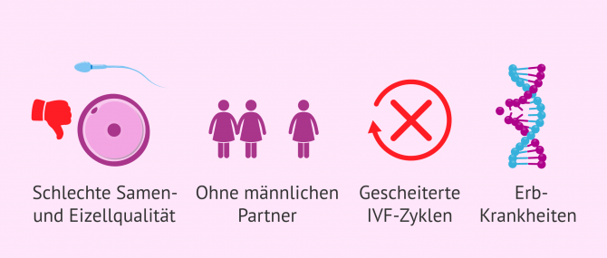 Imagen: Wann Embryoadoption angewendet wird
