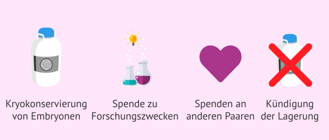 Imagen: Was mit überschüssigen Embryonen passiert