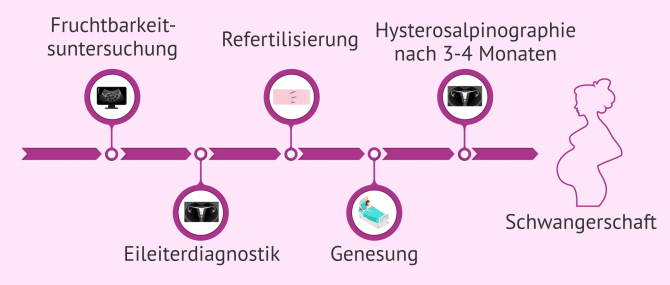 Imagen: Behandlungsschritte bei Refertilisierung