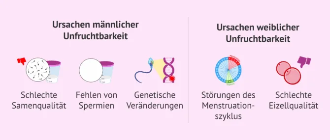 ständer für blumenkästen Blumentopf Ständer Ø23cm kaufen für Zimmerpflanzen