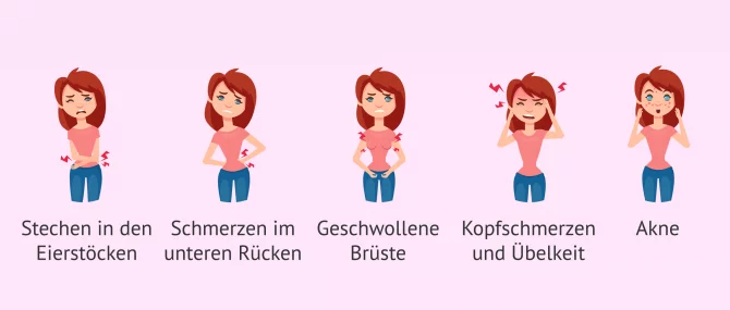 halterung für blumenkasten ohne bohren Blumenkastenhalterung f. Fensterbänke Edelstahl ohne Bohren