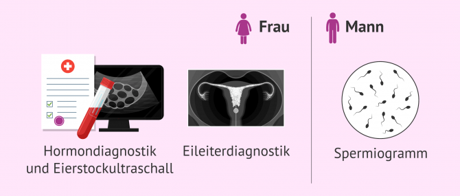 Imagen: Voruntersuchungen bei der Refertilisierung