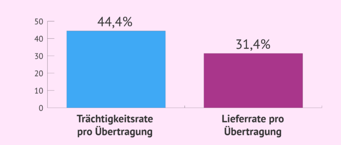 Imagen: Erfolgsquote der Embryonenspende