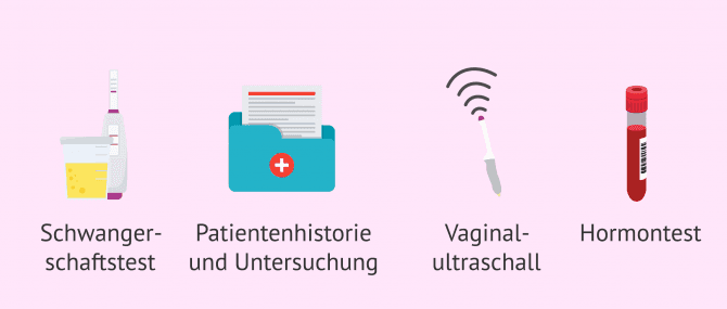 Imagen: Diagnostische Untersuchungen bei Amenorrhö