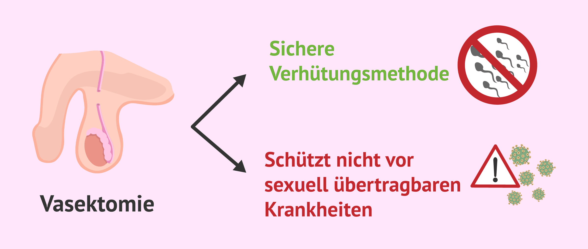 Imagen: Die Vasektomie und ihre Auswirkungen