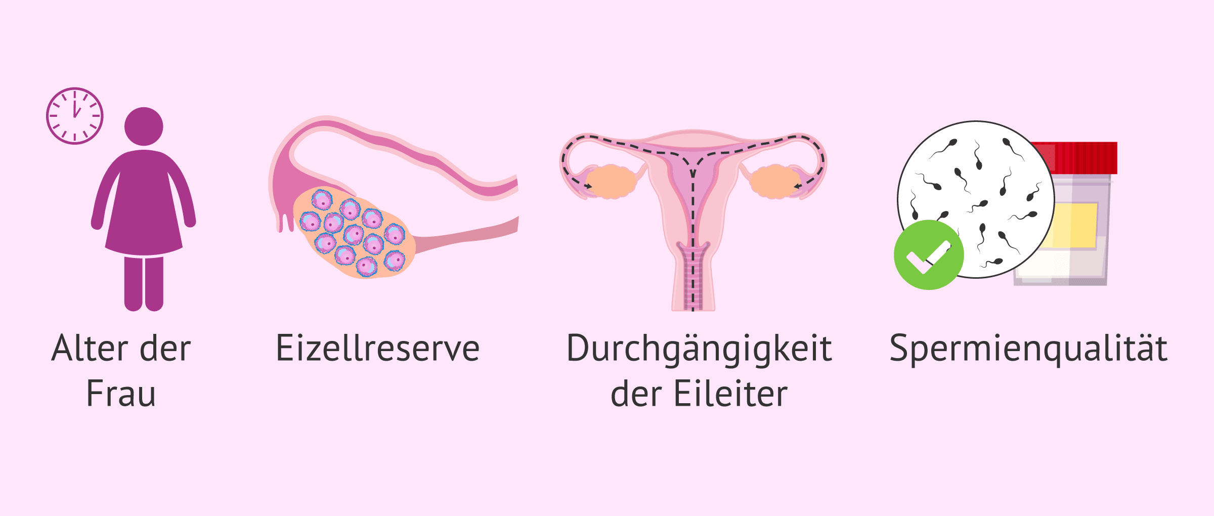 Imagen: Aspekte bei der Wahl der Kinderwunschbehandlung