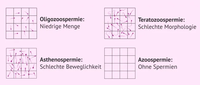 tulpen wei knstlich Knstliche Tulpe - Tris | 60 cm