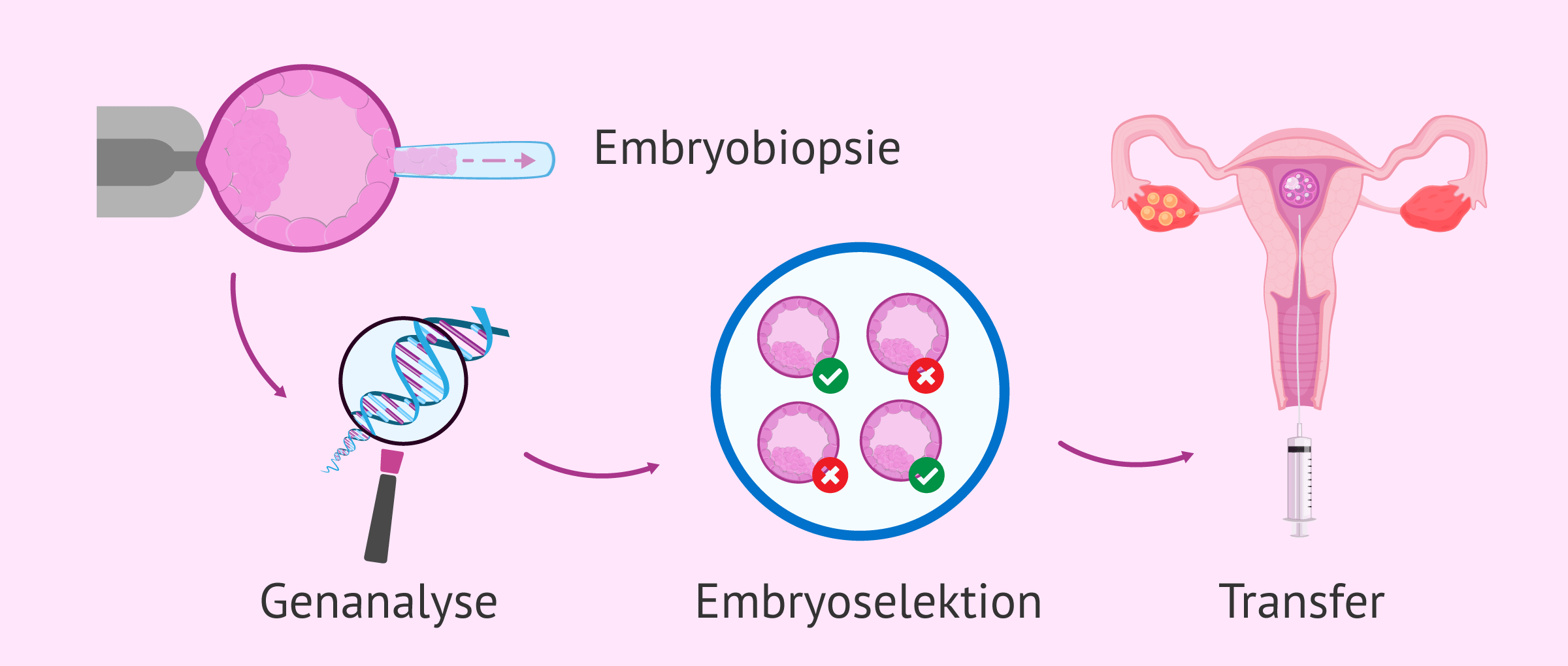 PID und Embryoauswahl