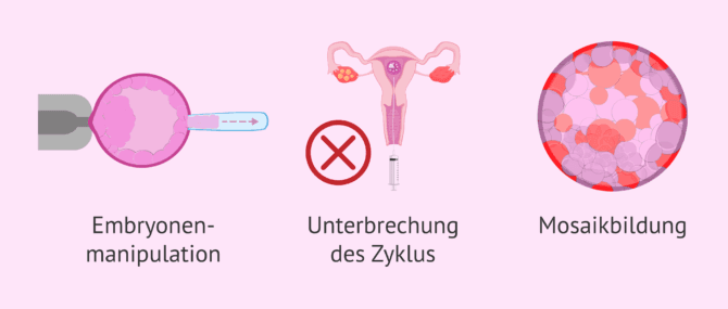 Imagen: Welche Nachteile hat die PID?