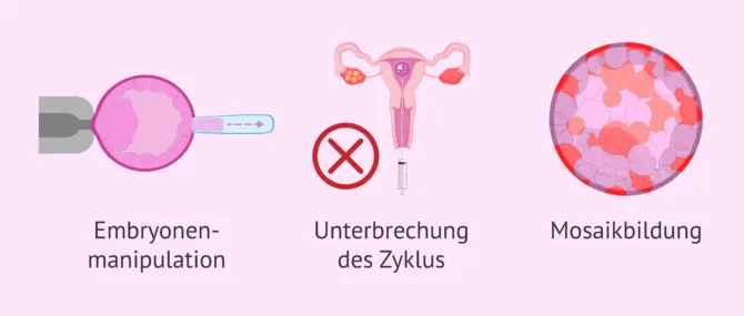 nägel künstlich verlängern Naturnagelverstärkung mit Gel Neuset main image 0