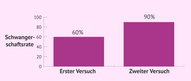 Imagen: Schwangerschaftsrate bei Eizellenspende
