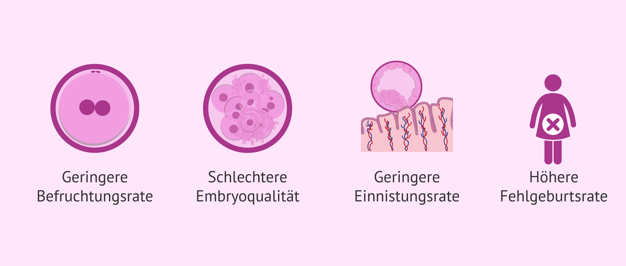 Imagen: Spermien-DNA-Fragmentierung und männliche Fruchtbarkeit
