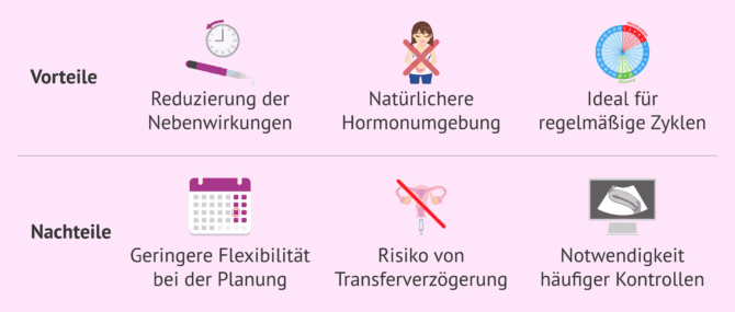Imagen: Embryotransfer bei Eizellspende im natürlichen Zyklus