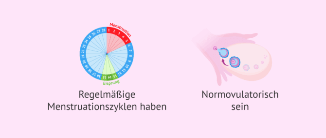 Imagen: Anforderungen für die Übertragung von Embryonen im natürlichen Zyklus