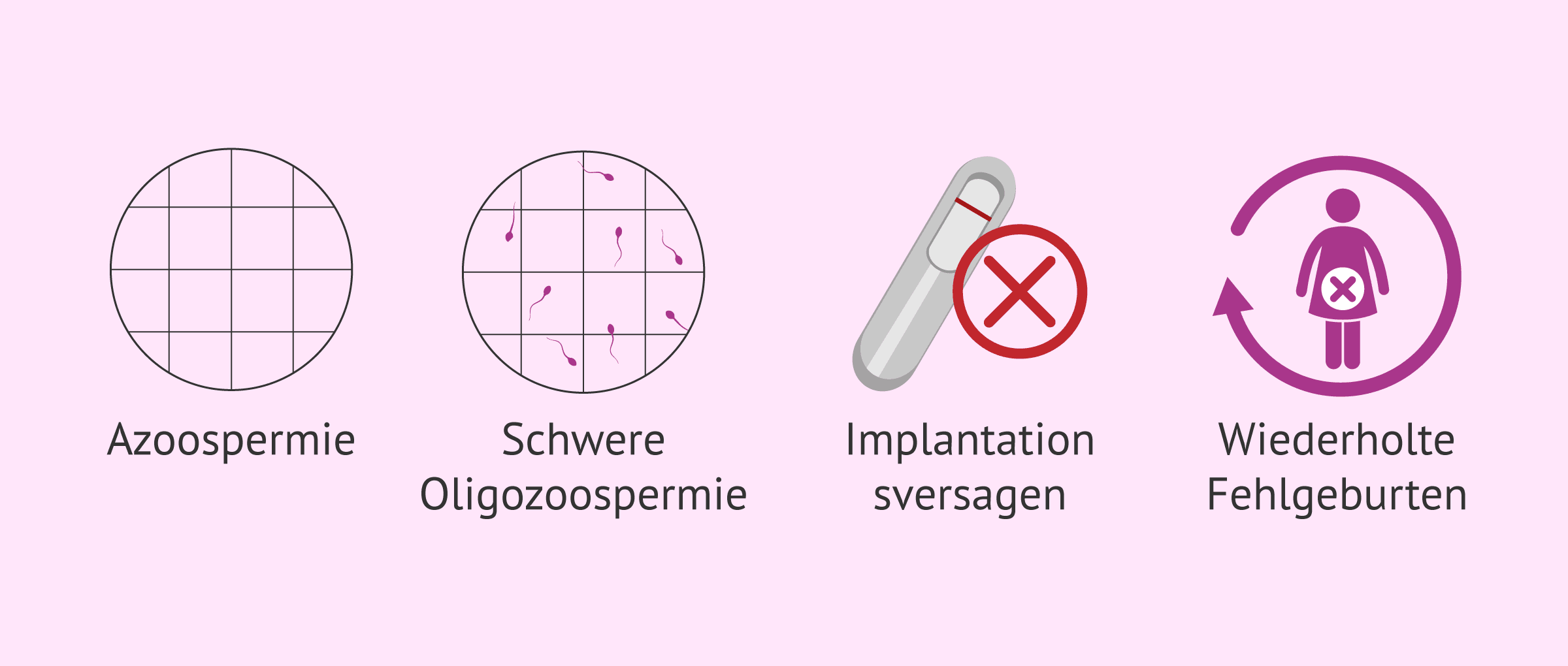 Imagen: Wann ist ein Karyotyp erforderlich?
