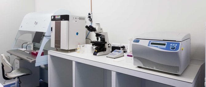 Imagen: Andrologielabor Reproducción Bilbao