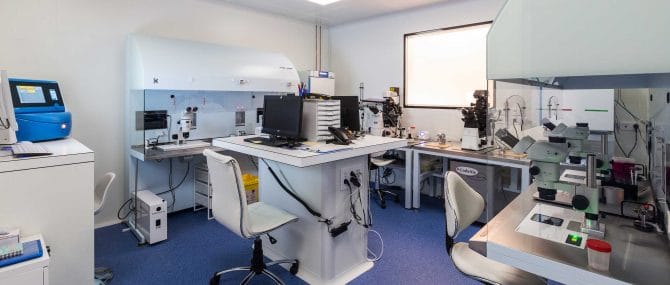 Imagen: Embryologielabor