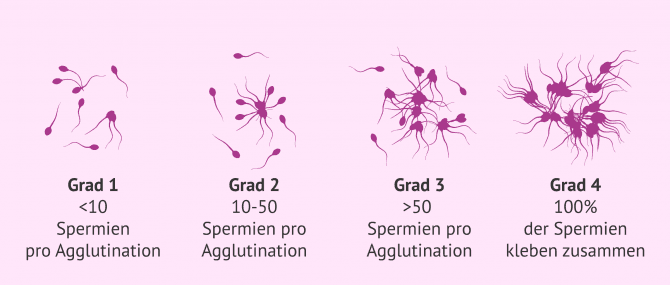 Gozal qizlarning erotik fotosuratlari