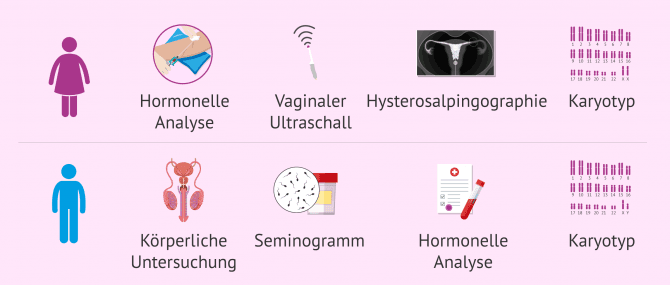 Imagen: Tests zur Untersuchung der Fruchtbarkeit