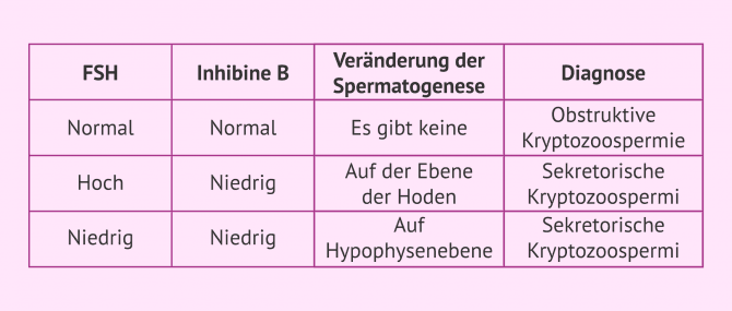 Imagen: Hormontest zur Diagnose der Kryptozoospermie
