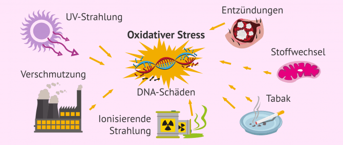 Imagen: Spermatozoen und oxidativer Stress