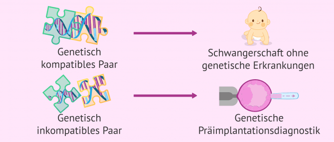 Imagen: Wie kann man rezessiven Erbkrankheiten vorbeugen?
