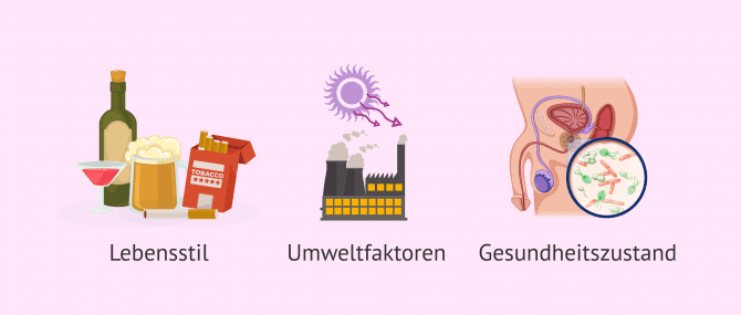 Imagen: Ursachen für oxidativen Stress im Sperma