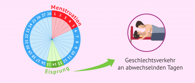 Imagen: Alternierendes Geschlecht
