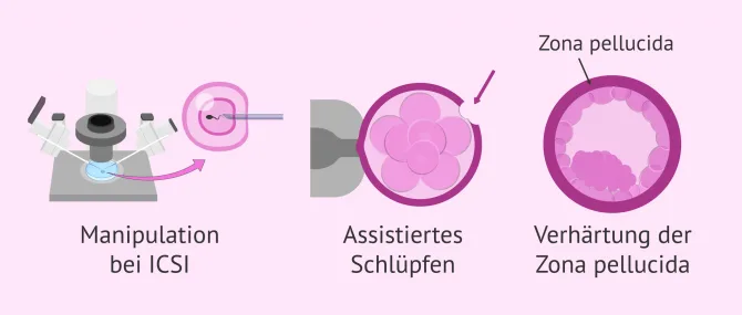 pflanztöpfe auf rollen Rechteckige Cortenstahl-Pflanzkübel mit Rollen main image 1