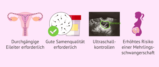 Imagen: Welche Nachteile hat die künstliche Insemination?