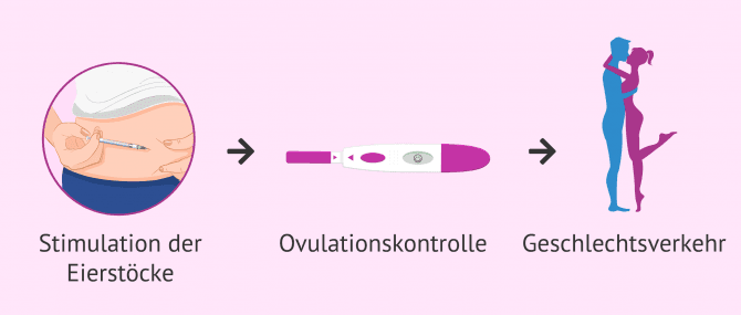 Imagen: Geschlechtsverkehr programmiert, um eine Schwangerschaft zu erreichen