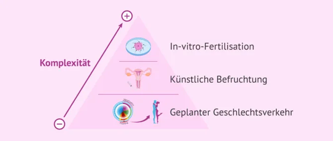 Ist zeitlich festgelegter Geschlechtsverkehr oder knstliche Befruchtung  besser?