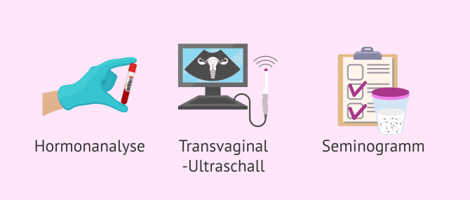 Imagen: Untersuchung der Fruchtbarkeit des Paares