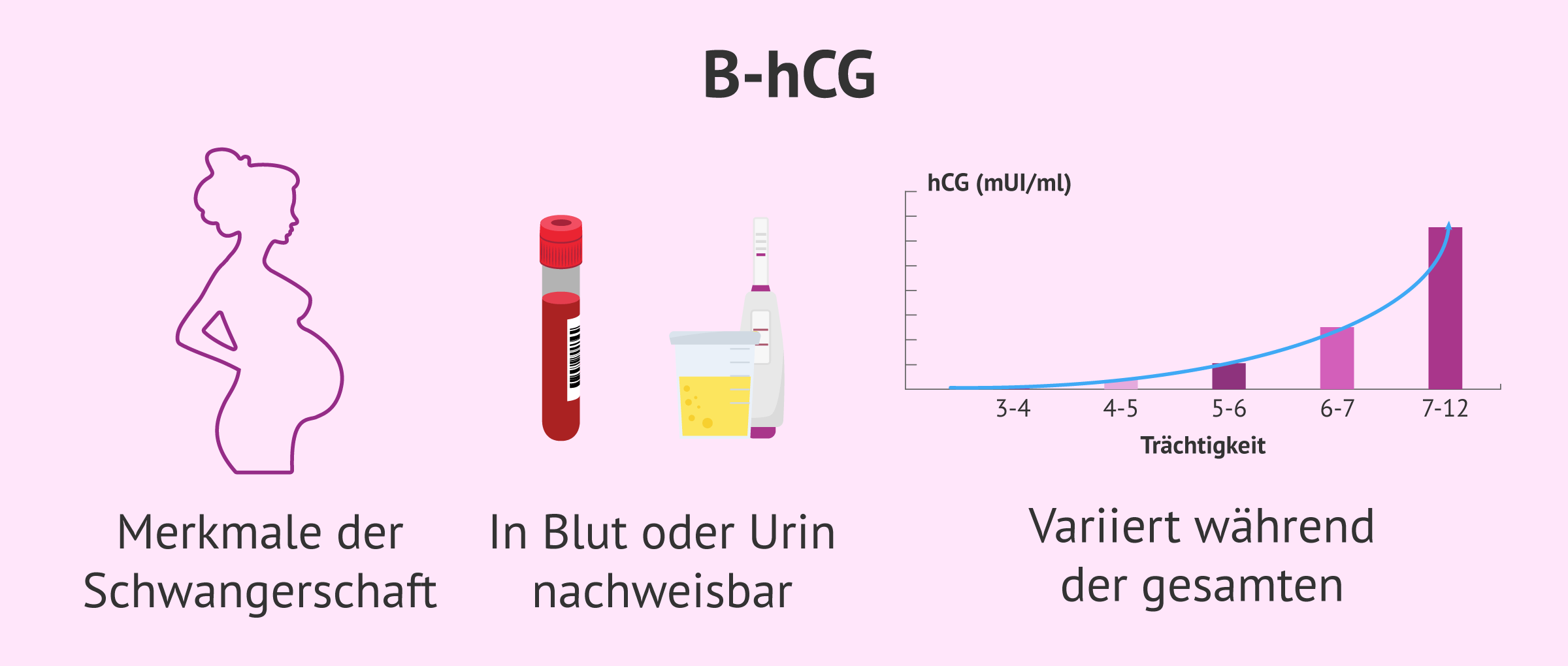 Imagen: Merkmale von beta-hCG