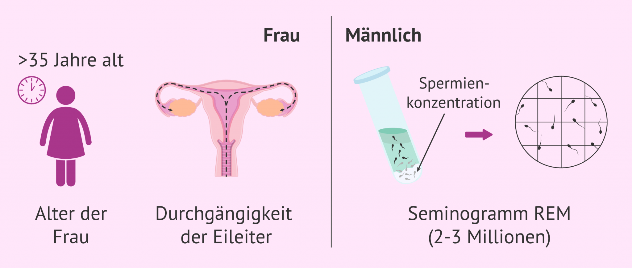 Wie Hoch Ist Die Wahrscheinlichkeit Geboren Zu Werden www.invitra.de