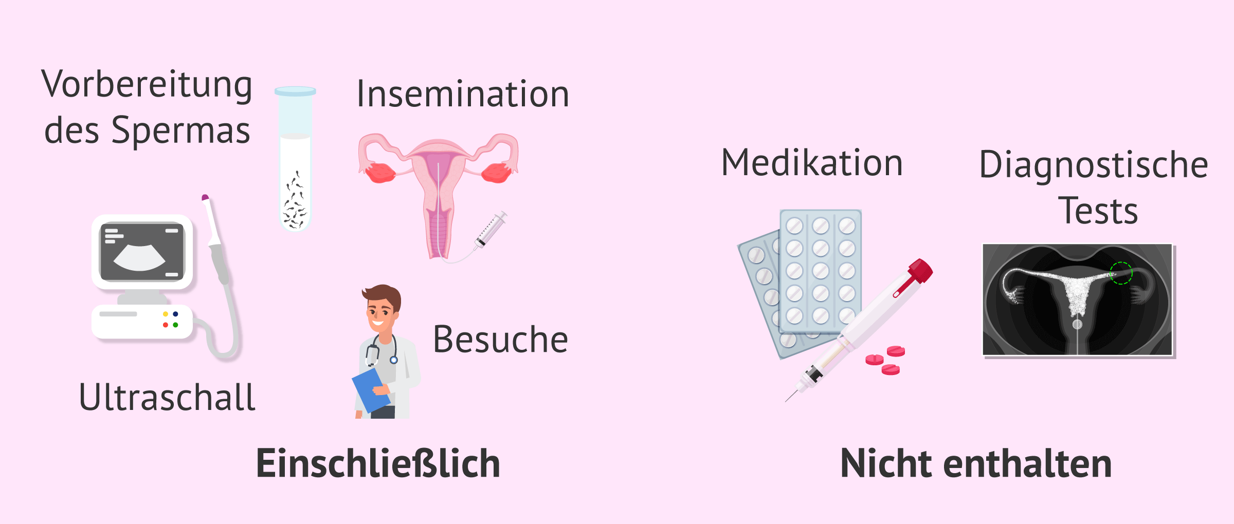 Imagen: In der Folgenabschätzung enthaltene und nicht enthaltene Dienstleistungen