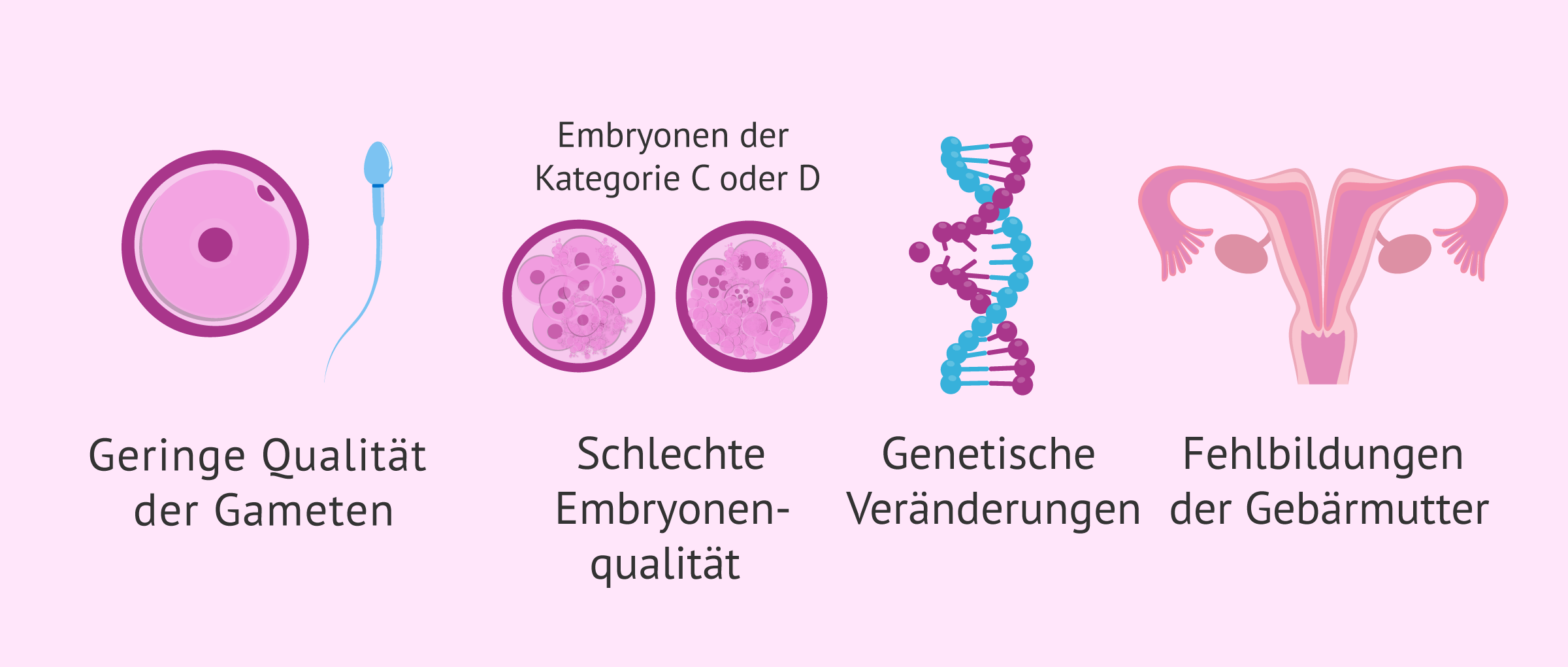 Imagen: Mögliche Ursachen für eine negative IVF