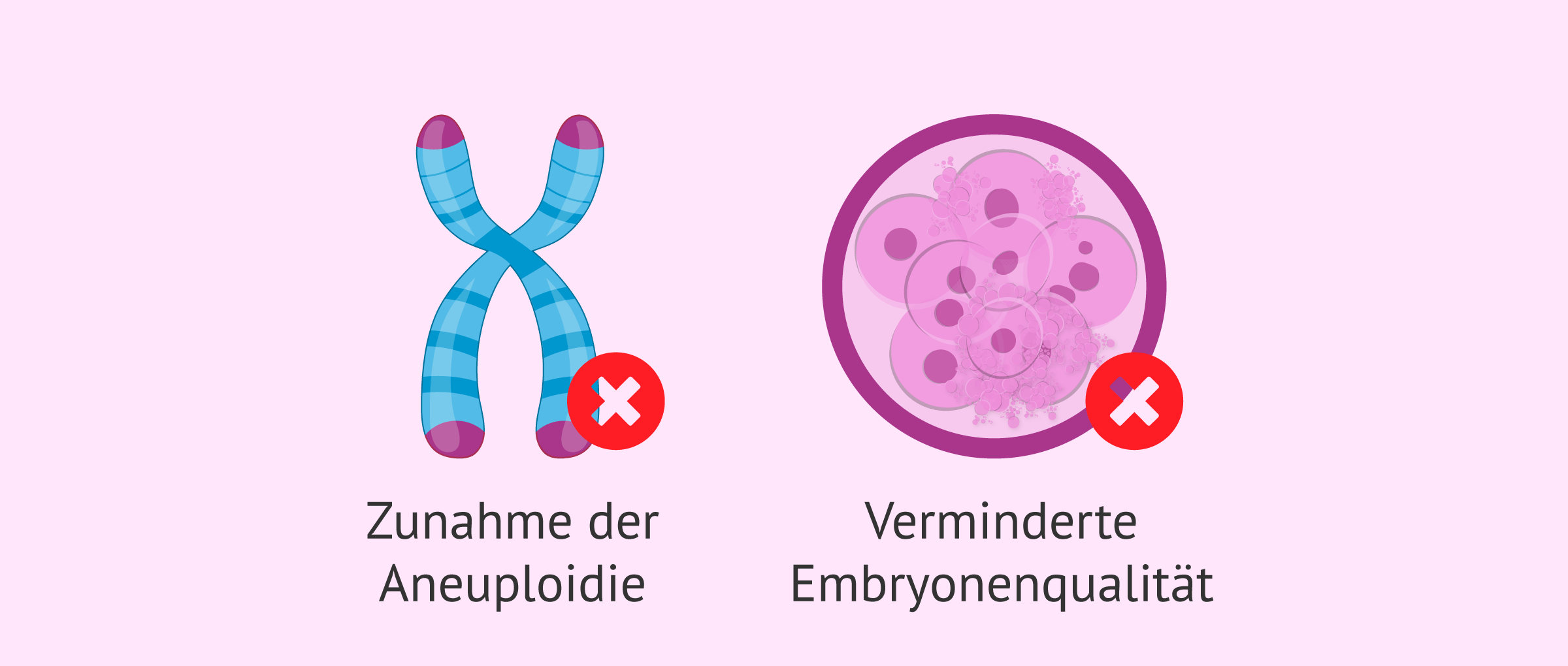 Imagen: Gonadotropin-Dosierung und Embryonenqualität
